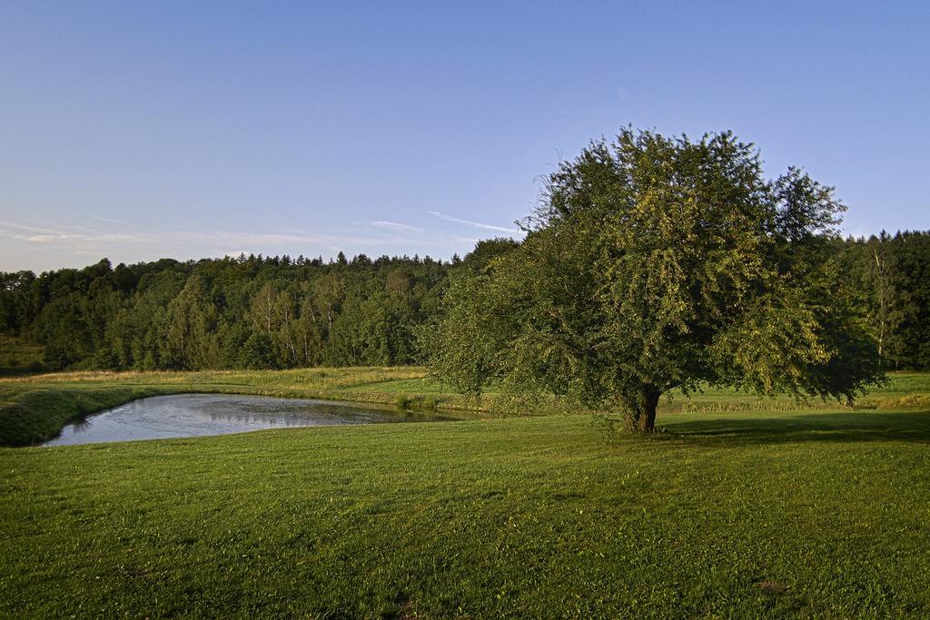 Gosciniec Nowa Wioska Bed & Breakfast Walbrzych Bagian luar foto